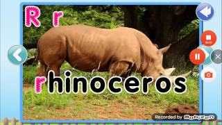 Rhinoceros Bellow Sound