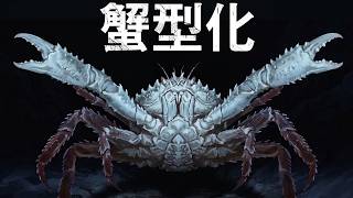 蟹型化：為什麼大自然一再演化出螃蟹般的形態？