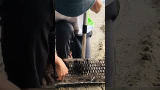 Beach Clean-Up Treasure Hunt : A Gold Bracelet Buried in the Sand! 😮 #treasuresearch #gold