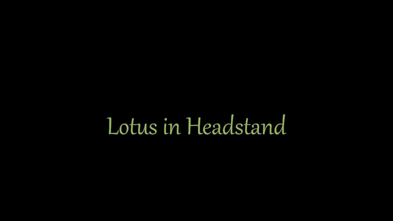 Lotus in Headstand hathaway park