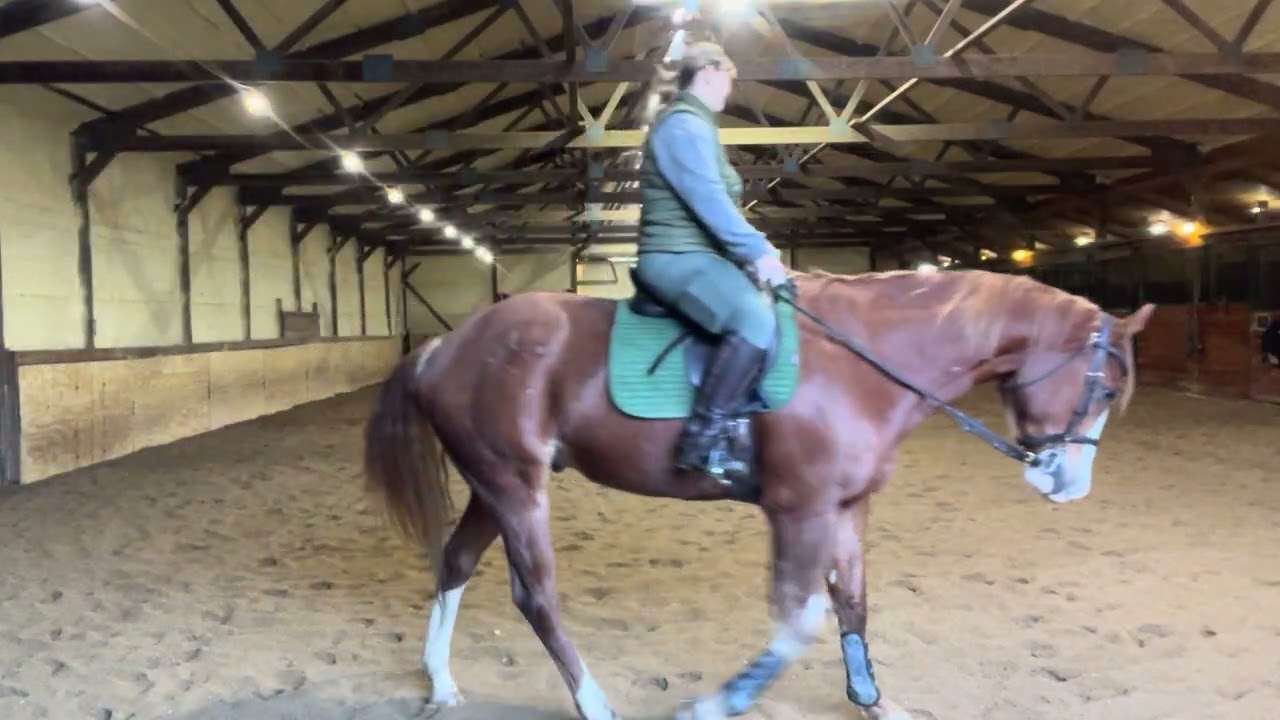 Увлекательная поездка для Кайлы и Сведа, 13.02.2026