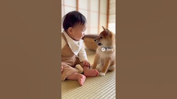 あかちゃんとワンコの可愛いおしゃべり🥰 #犬 #癒し #赤ちゃん