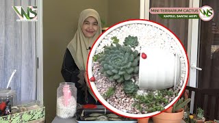 TANAMAN TERRARIUM CACTUS : DIY POT-IN-POT