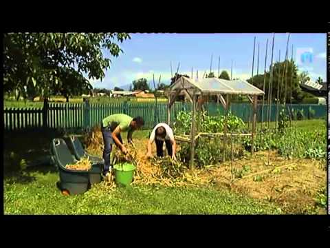 Video: Uporaba Organskih Gnojil Na Vrtu + Video