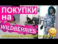 ПОКУПКИ на WILDBERRIES / ДЛЯ ДОМА для животных ОДЕЖДА / вайлдберриз / УДАЧНЫЕ ПОКУПКИ в интернете