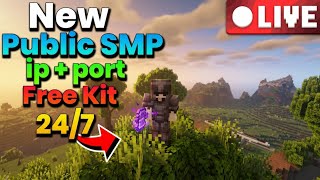 Playing on a Public Lifesteal Minecraft Server