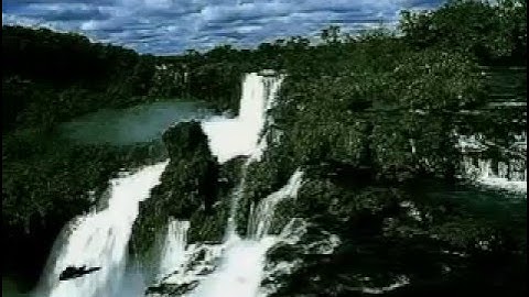 Amazon Adventure Flash Animation by Webwizardswest