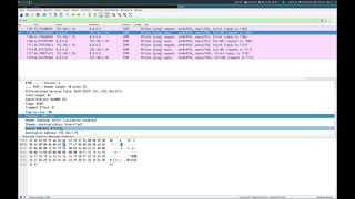 Wireshark. Сетевой уровень. ICMP. Утилита ping screenshot 1