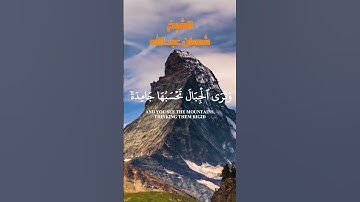 تلاوة مؤثرة لقلبك