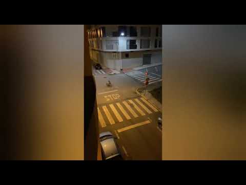 Graban a varios jabalíes de 'paseo' por Burela