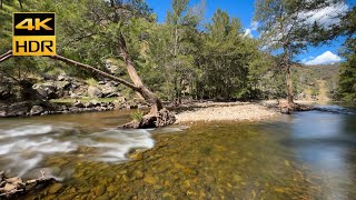 Fresh river flow in Australia| 4K 60fps HDR binaural audio, no loop | relax sleep study screenshot 5