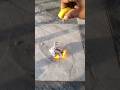 Amazing Lemon Science Experiment #experiment #science #tricks  #viral #diy  #mrindiahacker