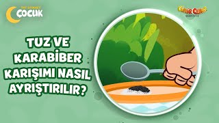 Tuz Ve Karabiber Karışımı Nasıl Ayrıştırılır? - Cümbür Cemaat Kamptayız
