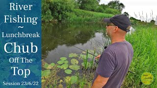 Chub Off The Surface - Short Lunchbreak Session - River Fishing - 23/6/22 (Video 328)