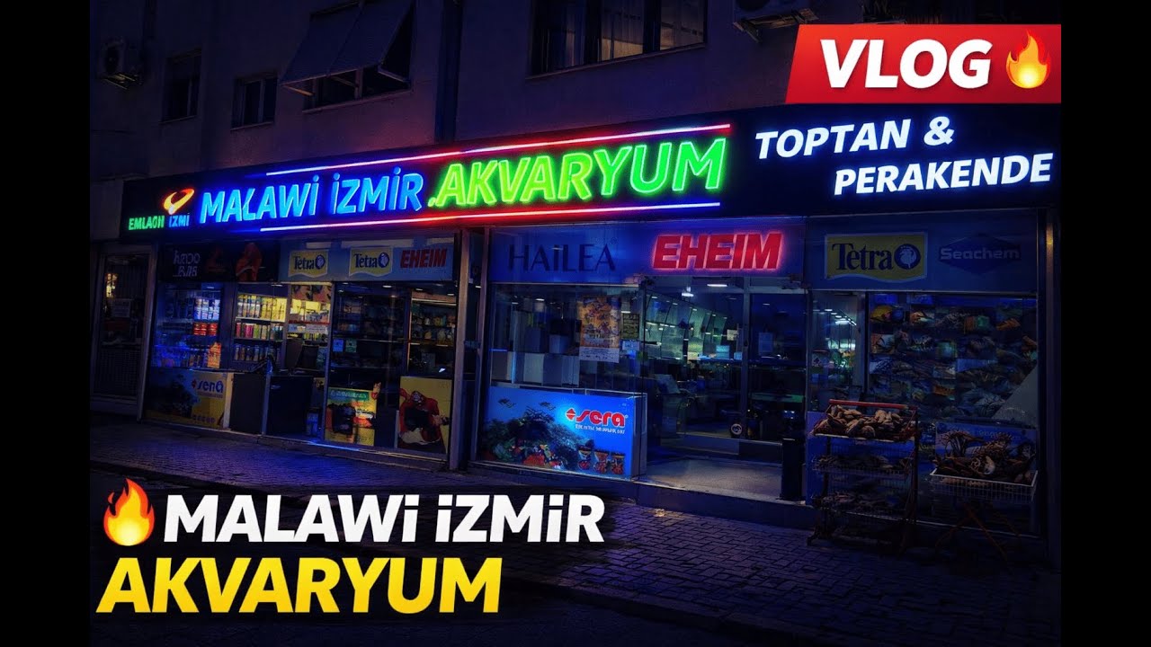 Malawi Cichlid Cenneti! Malawi İzmir Akvaryum !  İzmir’de Harika Akvaryum Turu (VLOG) #akvaryum