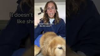 Tuesday Talks with Parker 🐶 | Golden Retriever’s Cutest Moments Ever