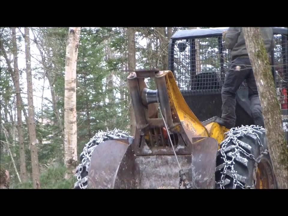 cutting pine in Maine YouTube