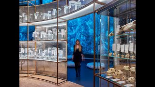in_finite. Living with Death: The Exhibition