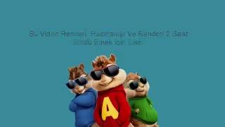 Alvin Ve Sincaplar Hani Bekleyecektin