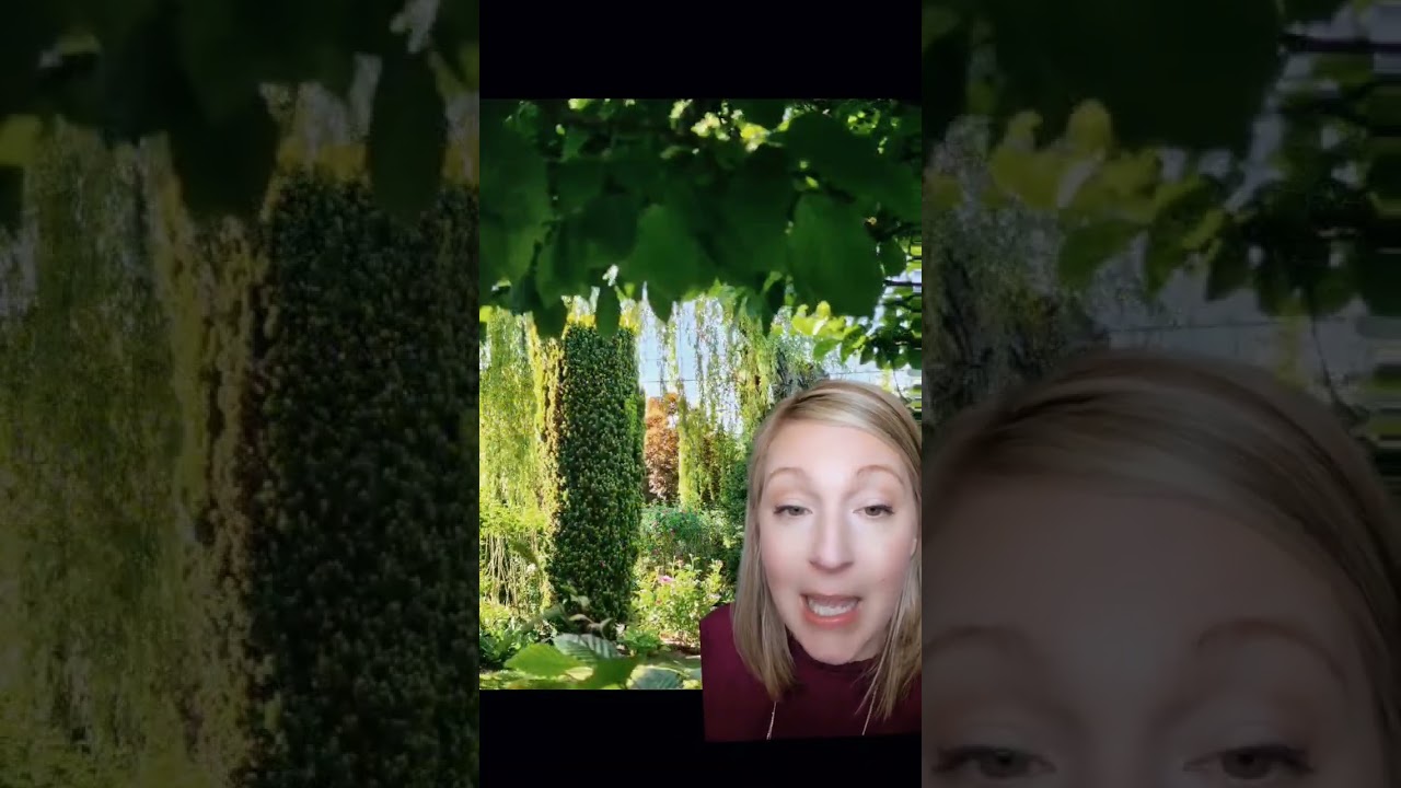 Weekend Wedding Experience at Briarwood Estate, an outdoor wedding and events venue.