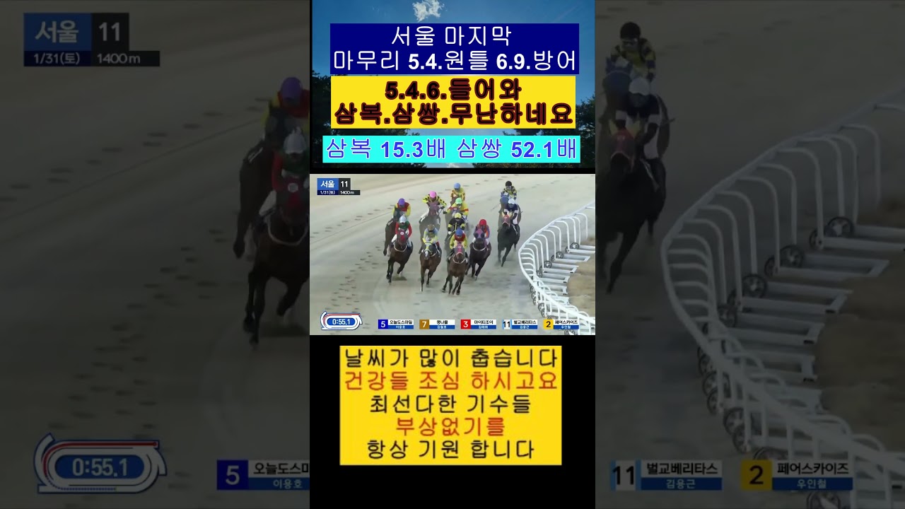 5.4.주력 원틀 6.9.까지 토요일 마지막 마무리 11경주 영상보기