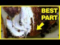 How To DEEP FRY a Turkey (Prep, & Easy Step-by-Step Guide 4 Crispy Skin)
