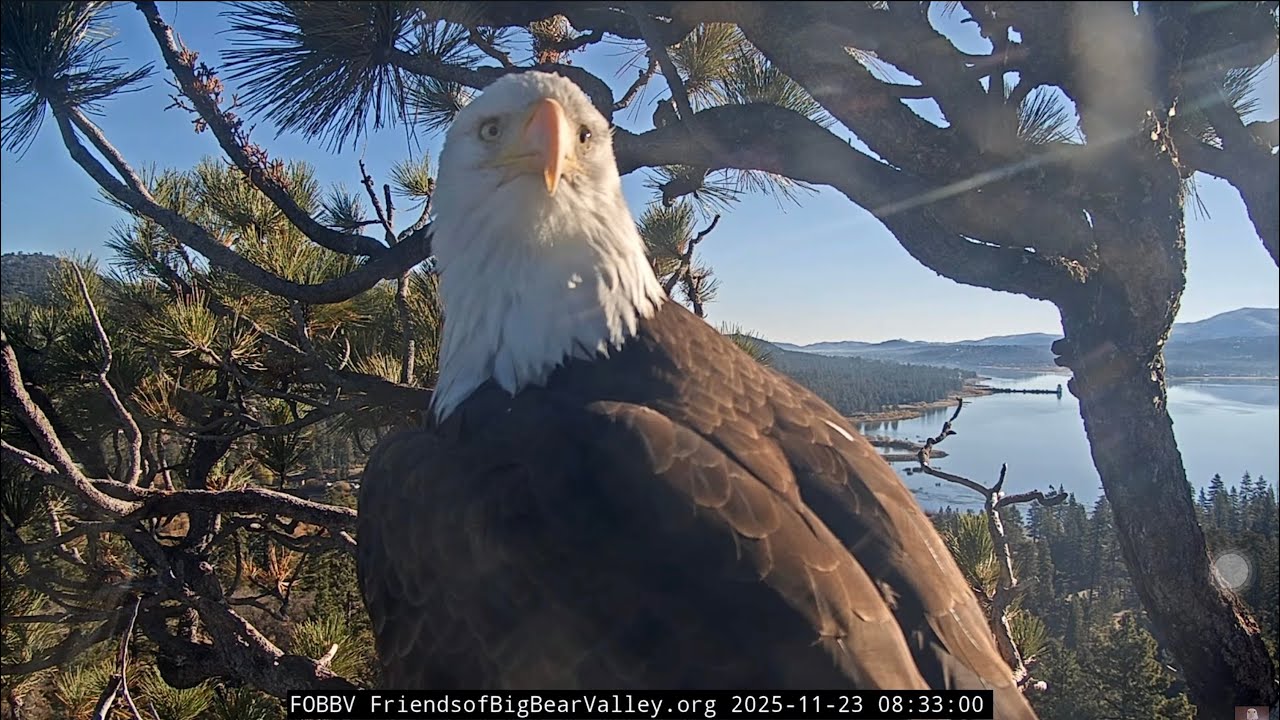 Nov 23, 2025 | Jackie Starts the Day With a Stick 🪵 🌞