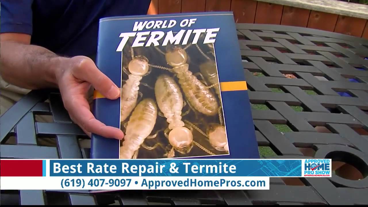 Swarming Termites in San Diego - Best Rate Repair & Termite on The Approved Home Pro Show