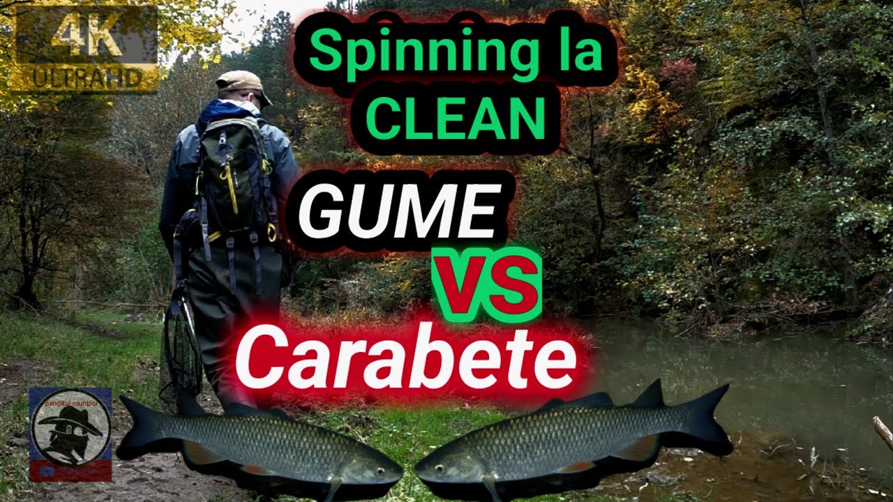🎣Spinning la CLEAN! GUME vs CARABETE! Gumele( TEMU🐛) au fost mai productive decât momeala naturală!