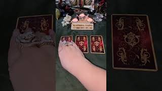 🔮 Гадание на завтра: выбери карту Таро и узнай свою судьбу! ✨