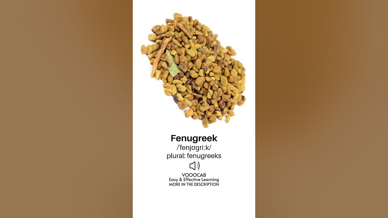 Fenugreek Pronunciation English Phonetic Transcription Plural Form fenugreek-pronunciation-english-phonetic-transcription-plural-form