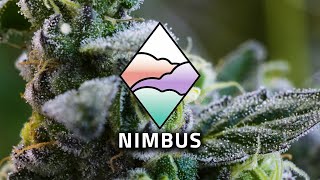 Carbon Zero Cannabis Farming With Nimbus A New California Brand Deep Roots