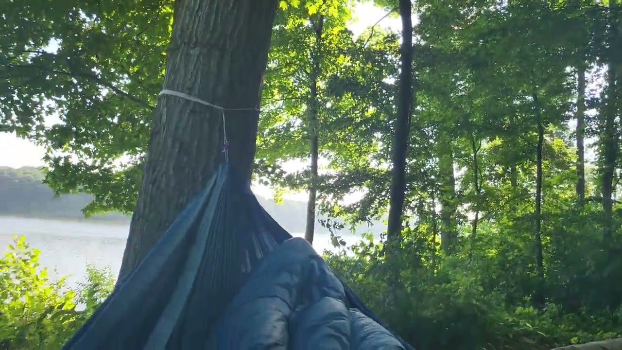 Bloodroot Trail - Salamonie Lake, IN