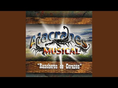 Putar La Lámpara - Alacranes Musical