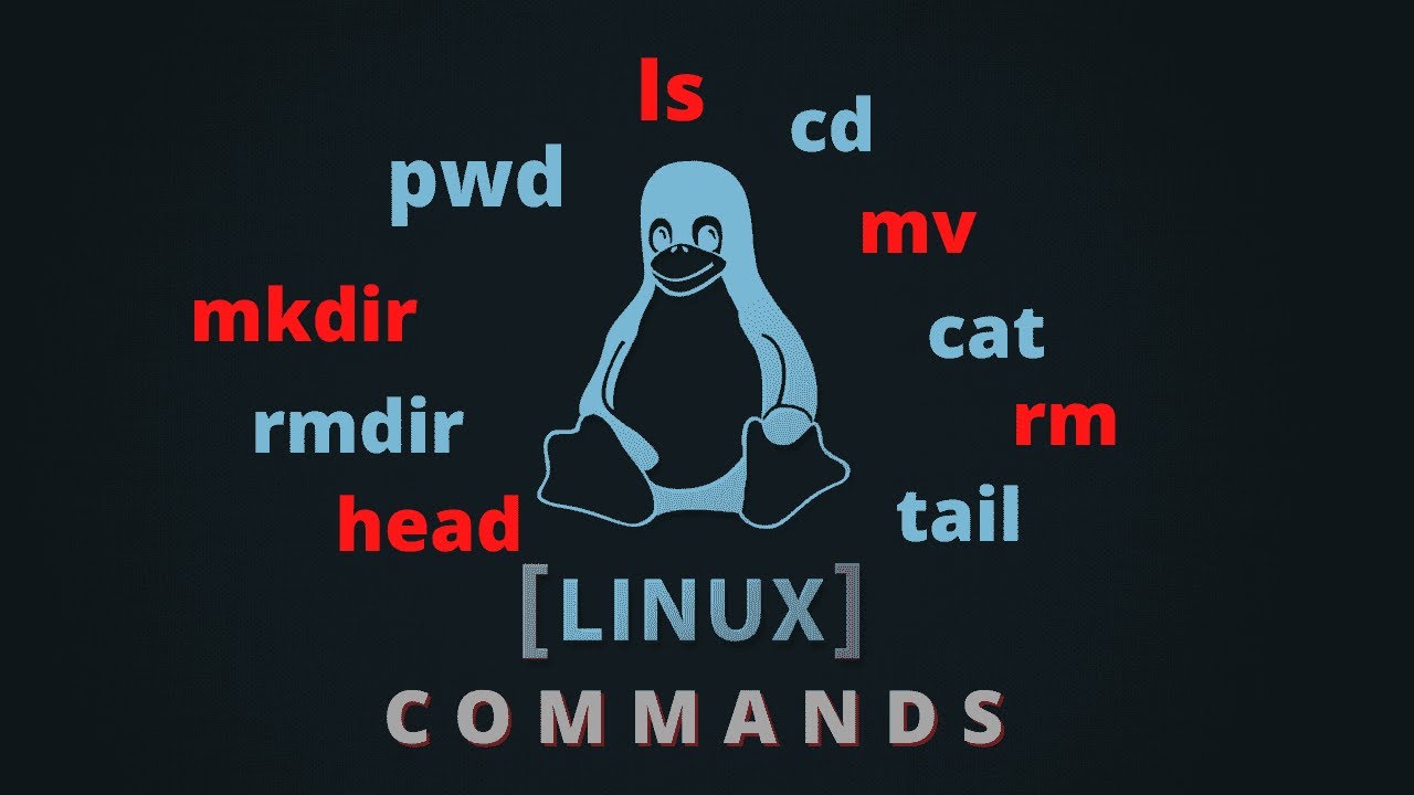 Basis Of Linux Part 5 || Extra Commands - YouTube