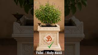Vastu tips for Plants in Northeast direction #shorts