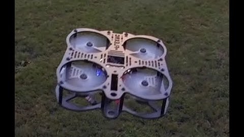 FlexRC Mini Owl with DYS 1104 6500kv motors and BusyBee2 (BB2 4 in 1 ESC) on 2S battery