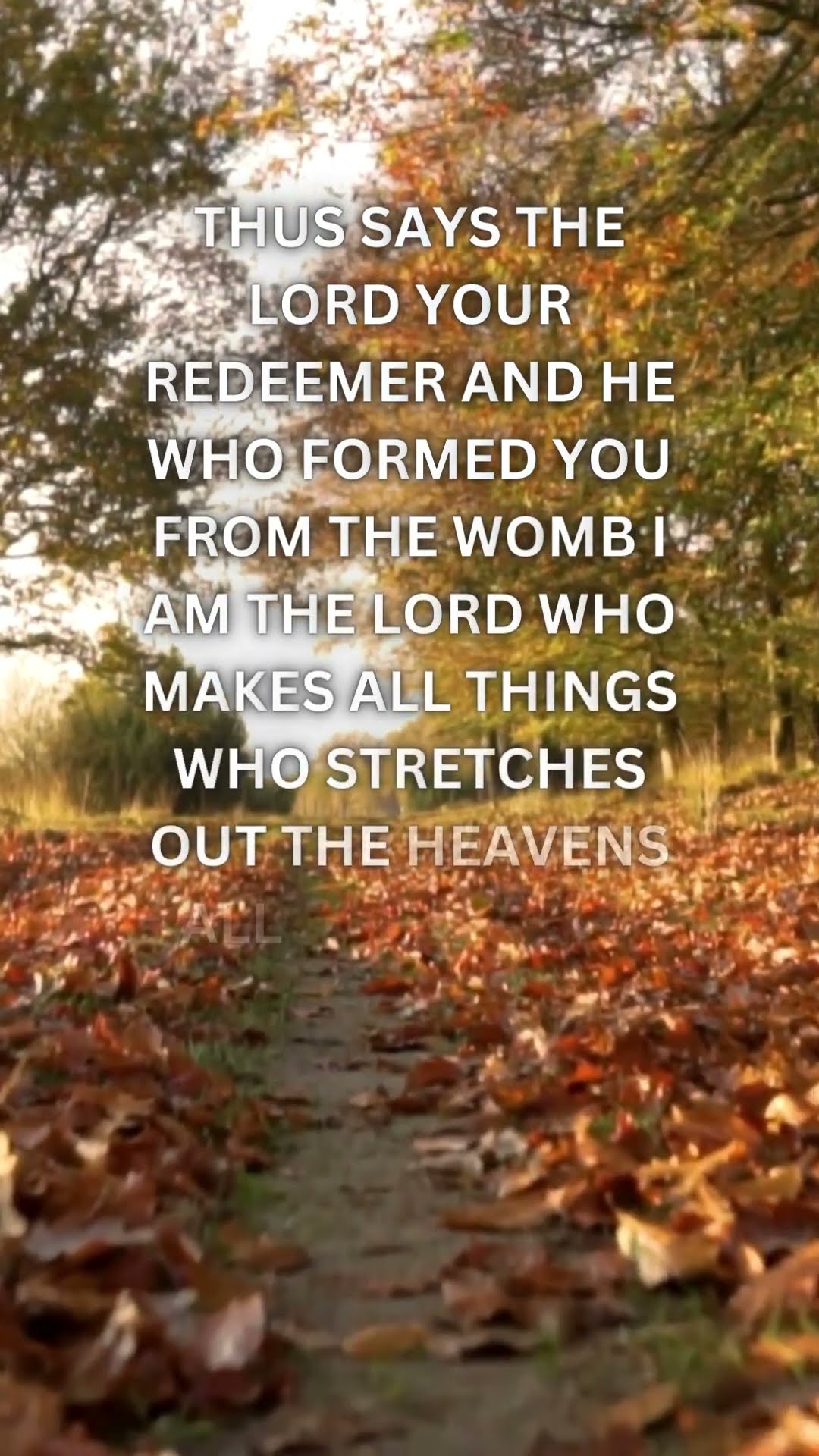 ISAIAH 44 VS 24 jesus god inspiration motivationalquotes quotes ISAIAH 44 VS 24 jesus god inspiration motivationalquotes quotes
