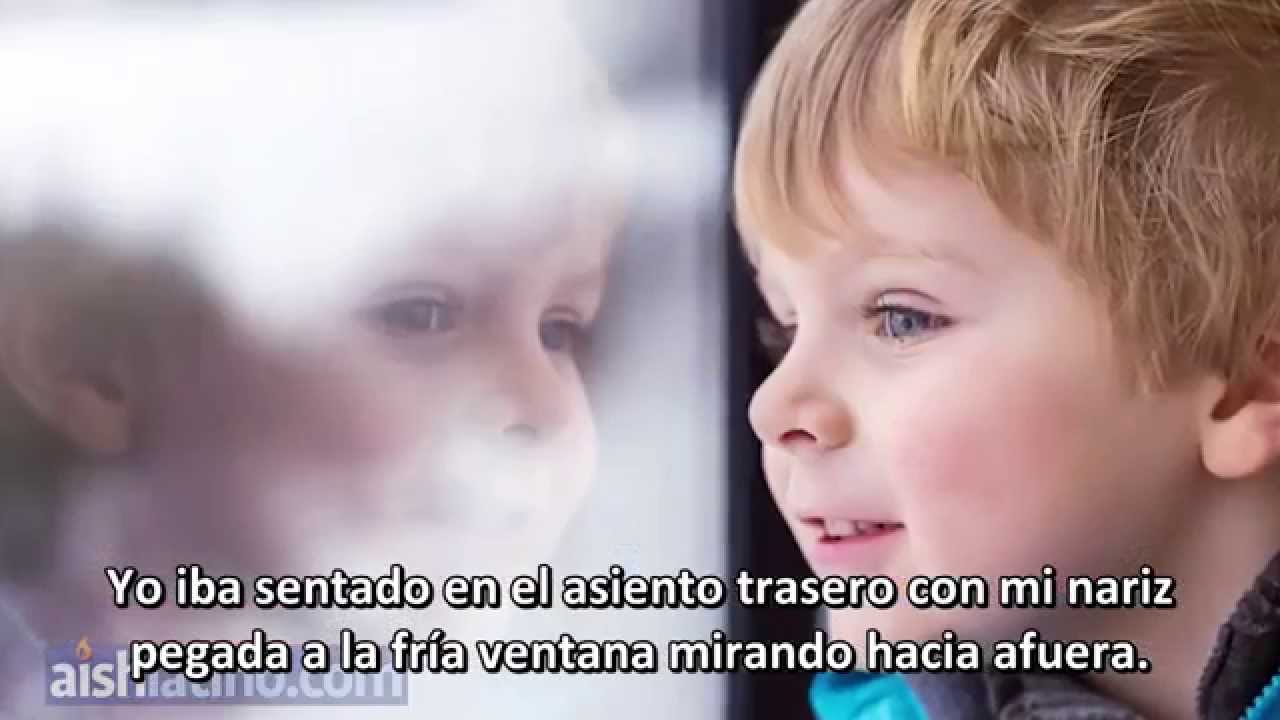 espiritualidade dos gatos El dilema navideño de un niño israelí