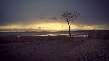 Moving Picture - Sigma Fp