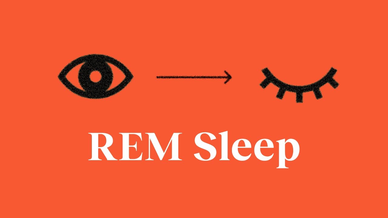 What REM sleep does for your brain—and 3 ways to trigger more of it | Patrick McNamara