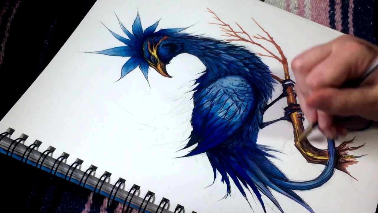 DRAWING/COLORING TIME-LAPSE | FANTASY BIRD