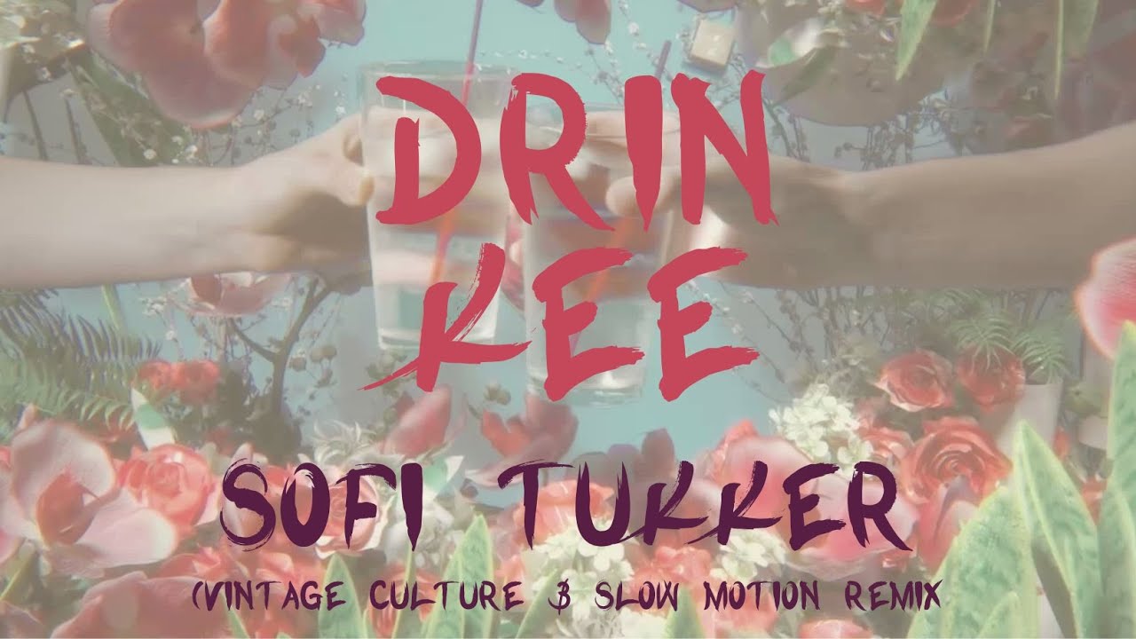 Sofi Tukker Drinkee Vintage Culture E Slow Motion Rmx Lyrics Video sofi-tukker-drinkee-vintage-culture-e-slow-motion-rmx-lyrics-video