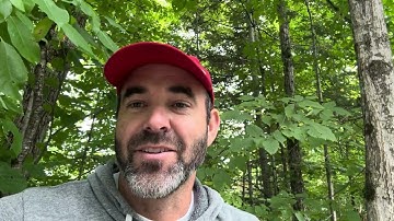 Optimism Bias: Balancing Hope with Reality