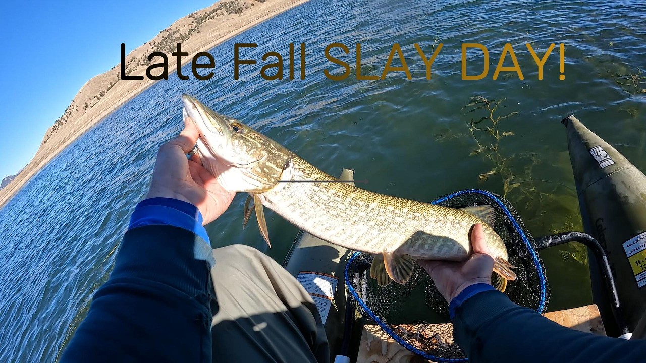 Multi-Species SLAY DAY!