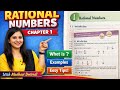 Basic Maths National Numbers,Whole Numbers and Integers explained. #maths #newchannel