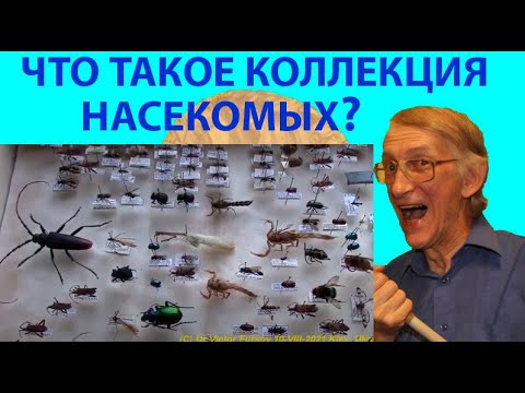 Как Правильно Собирать