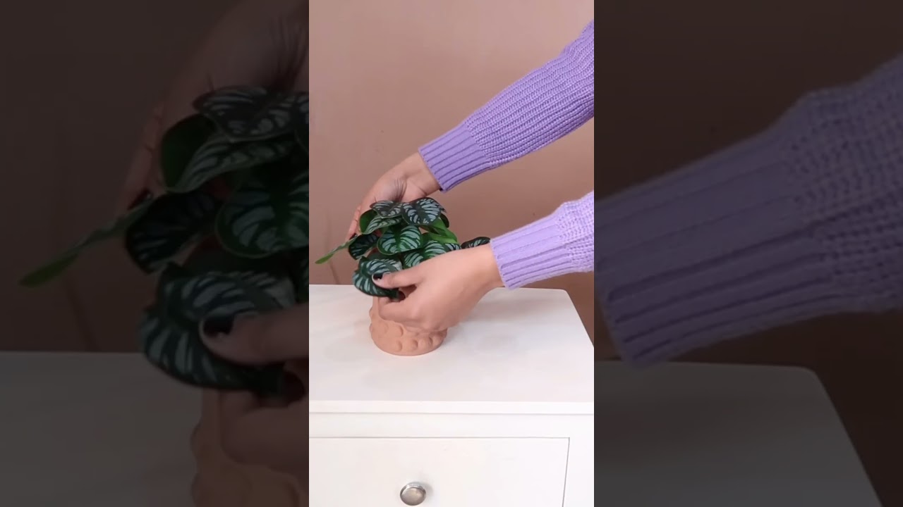 Isn’t it gorgeous? 😍😍 