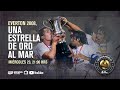 2008: Everton y la final imposible I MEMORABIBLIA Capítulo 19 ⚽️ 💙💛