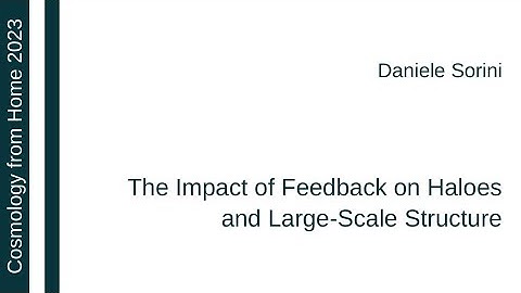 Daniele Sorini | The Impact of Feedback on Haloes and Large-Scale Structure